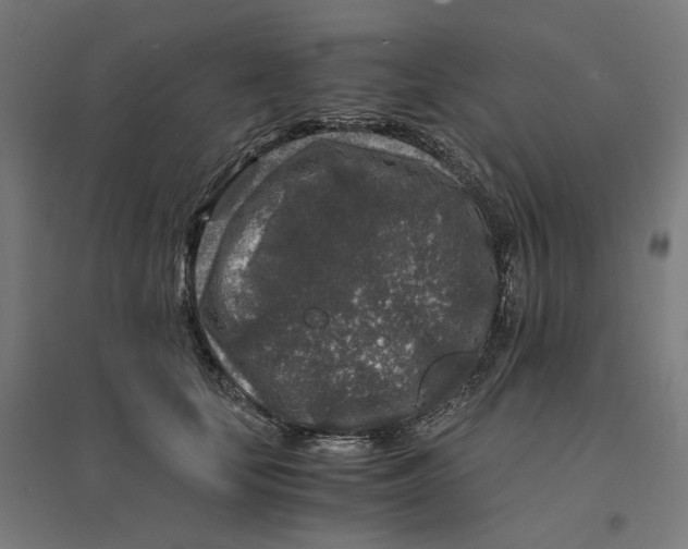 X0000094430659200712061115