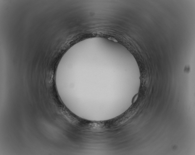 X0000094430660200712061115