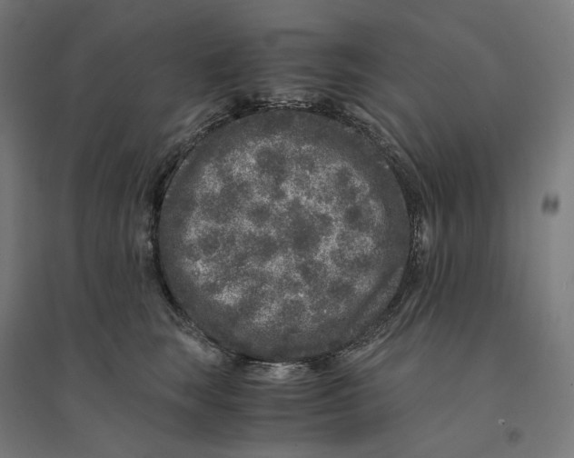 X0000094430663200712061115