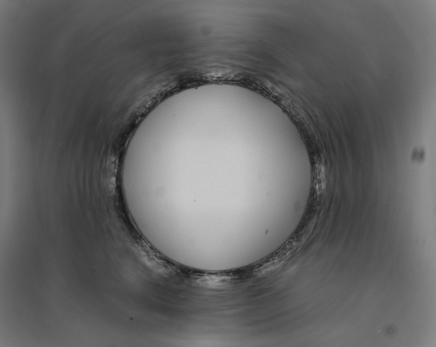 X0000094430664200712061115