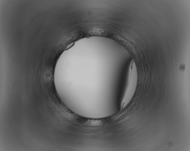 X0000094430665200712061115