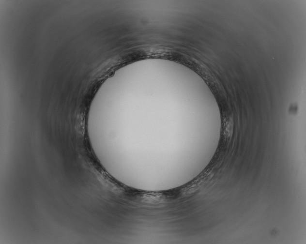 X0000094430666200712061115