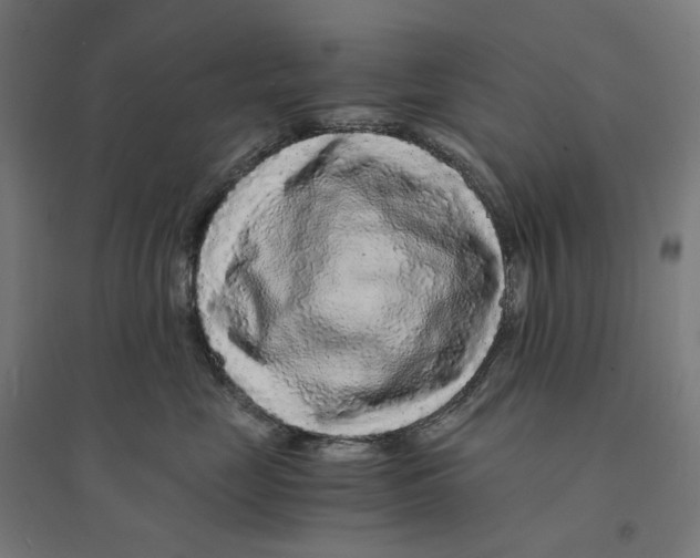 X0000094430669200712061115