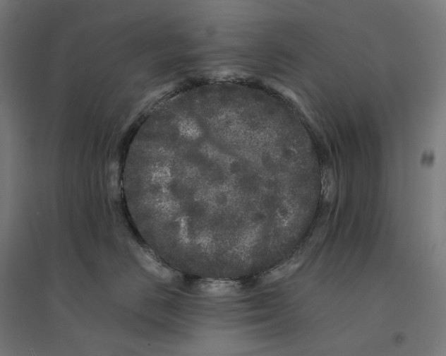 X0000094430670200712061115