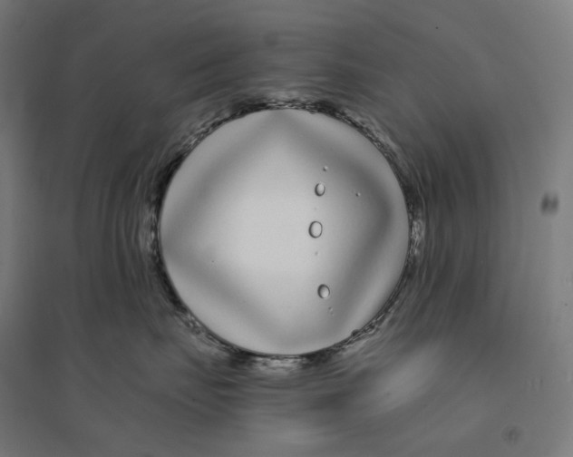 X0000094430671200712061115