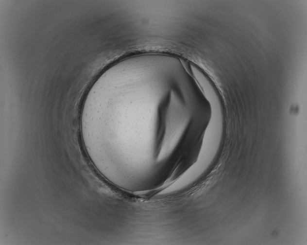 X0000094430673200712061114