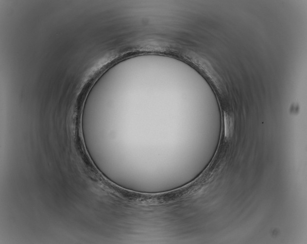 X0000094430675200712061114