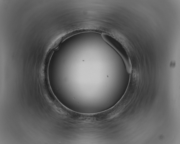 X0000094430676200712061114