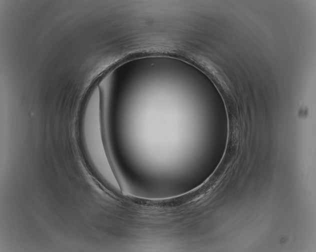 X0000094430677200712061114