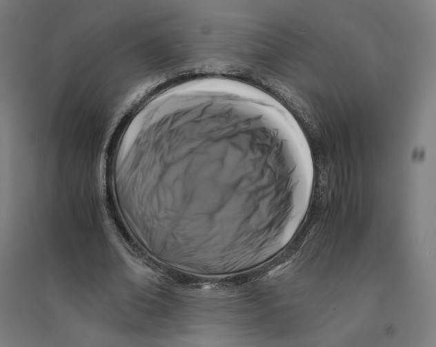 X0000094430678200712061114