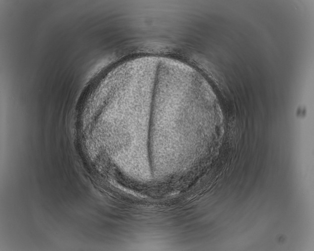 X0000094430679200712061114