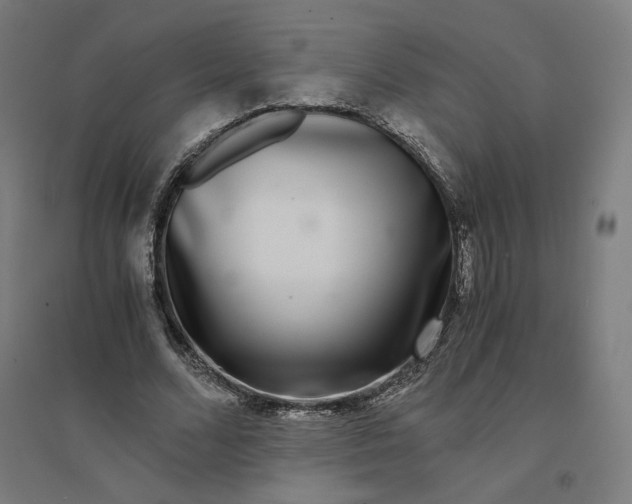 X0000094430680200712061114