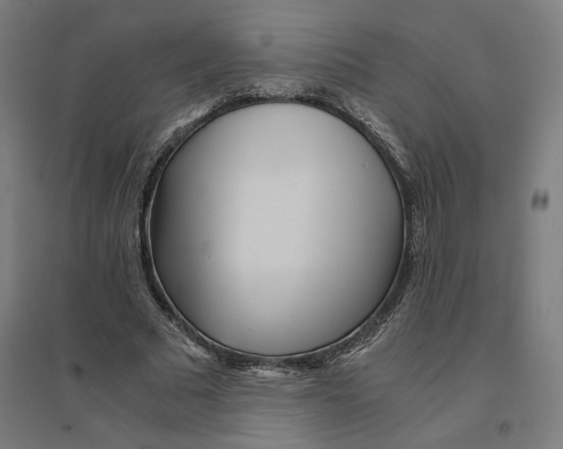 X0000094430681200712061114