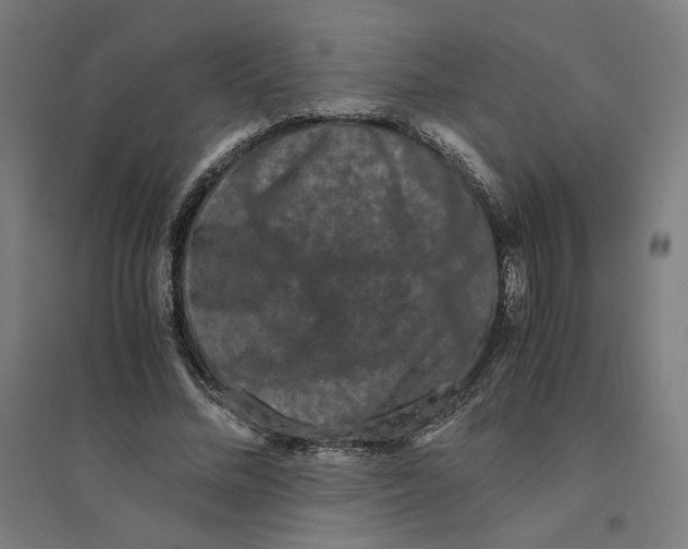 X0000094430684200712061114