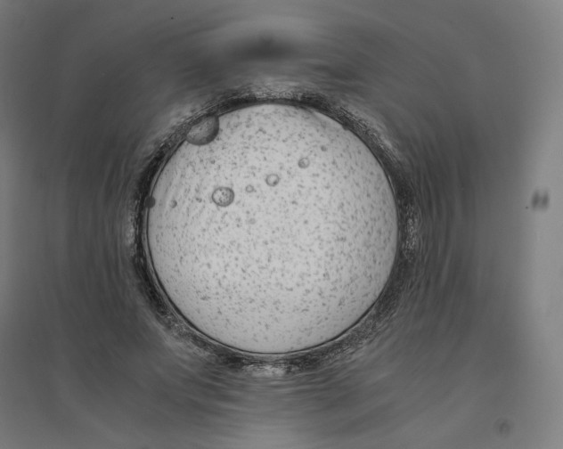 X0000094430687200712061114