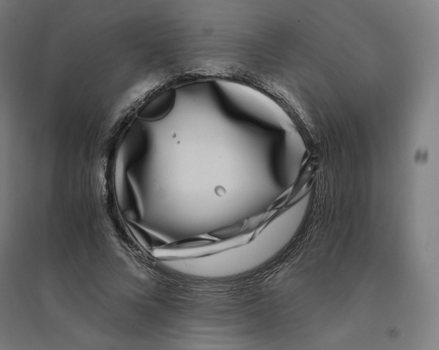 X0000094430688200712061114