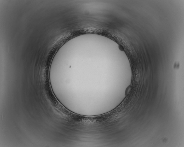 X0000094430690200712061114