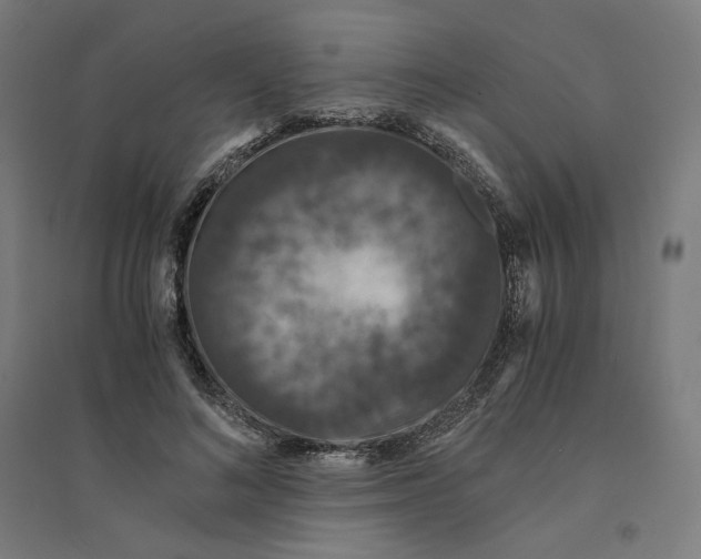 X0000094430692200712061114