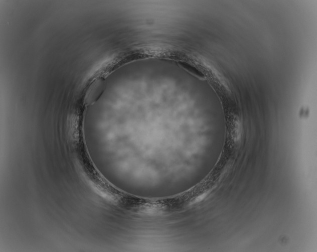 X0000094430696200712061114