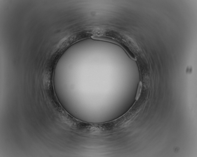 X0000094430697200712061114