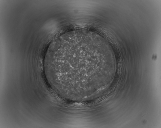 X0000094430699200712061114