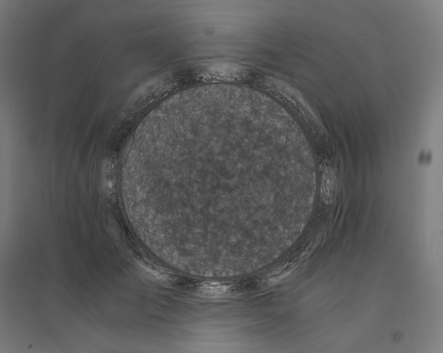 X0000094430701200712061114