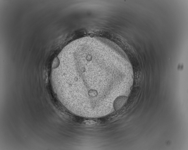 X0000094430703200712061114