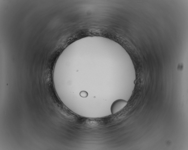 X0000094430706200712061114