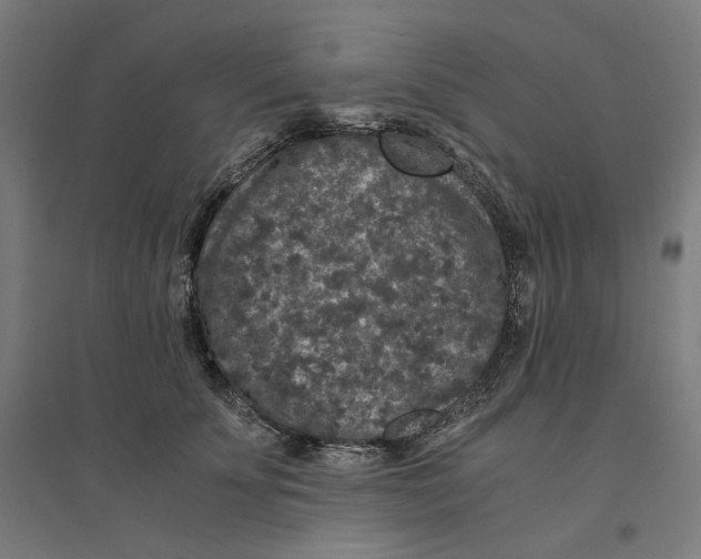 X0000094430707200712061114