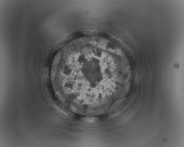 X0000094430711200712061114