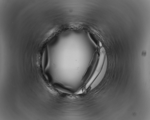 X0000094430712200712061114