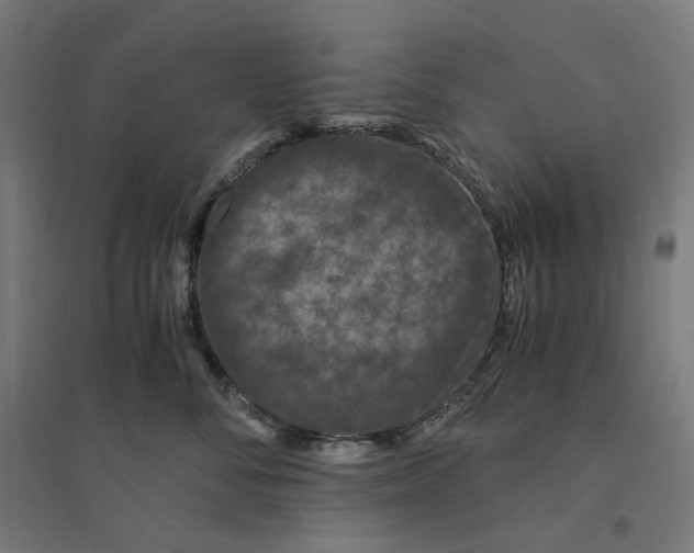 X0000094430716200712061114