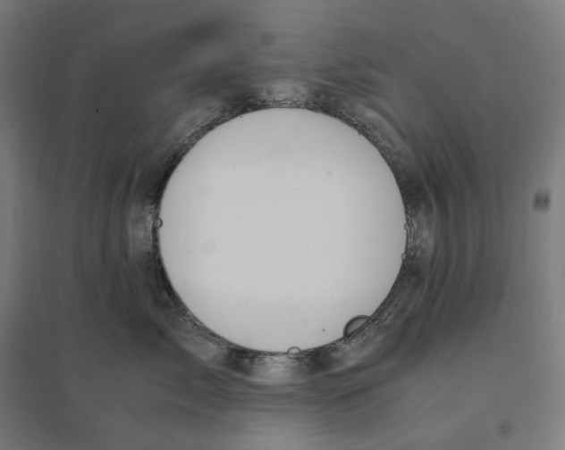 X0000094430717200712061114