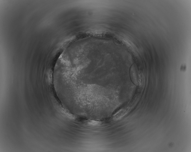 X0000094430718200712061114