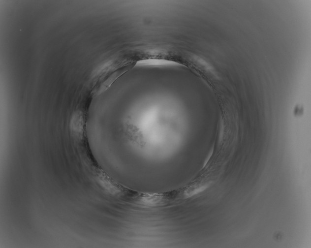 X0000094430720200712061114