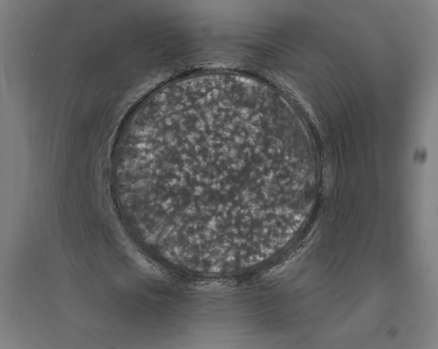 X0000094430721200712061113