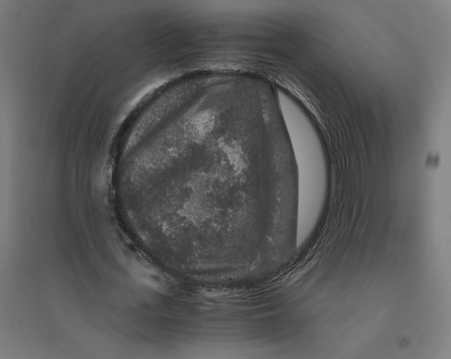 X0000094430723200712061113