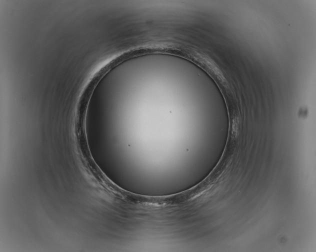 X0000094430724200712061113