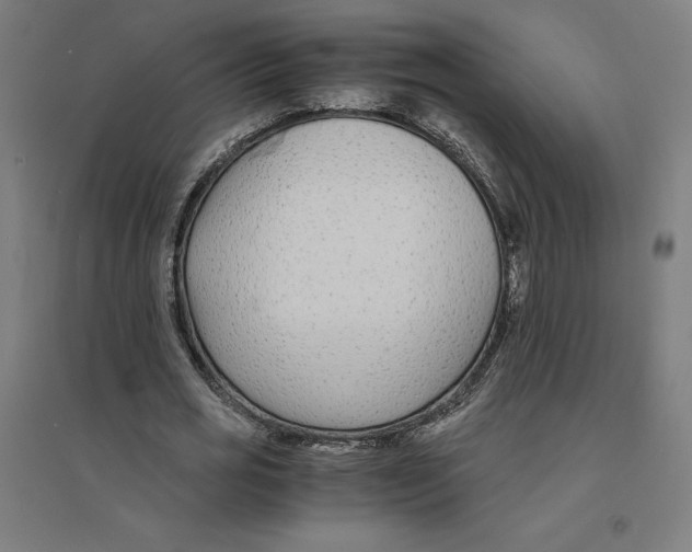 X0000094430725200712061113