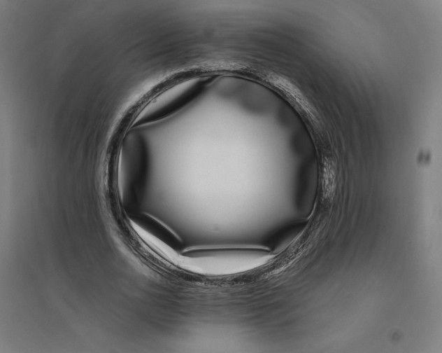 X0000094430726200712061113