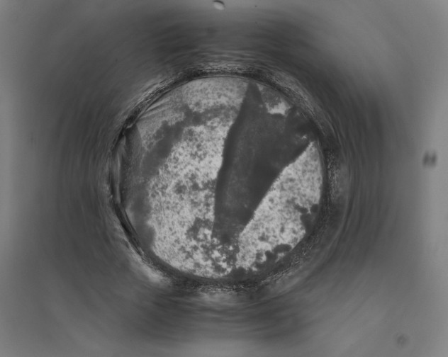 X0000094430729200712061113