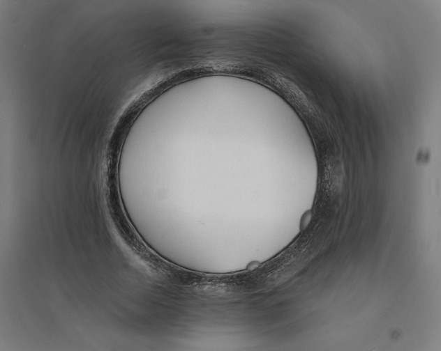 X0000094430730200712061113