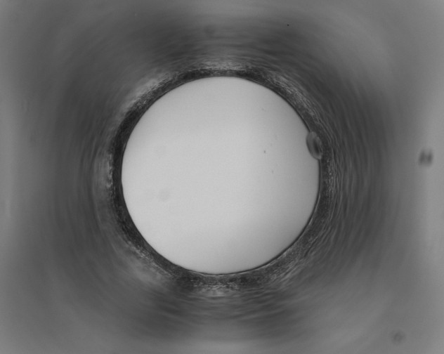 X0000094430731200712061113