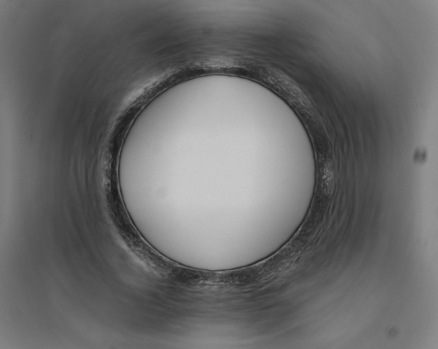 X0000094430732200712061113