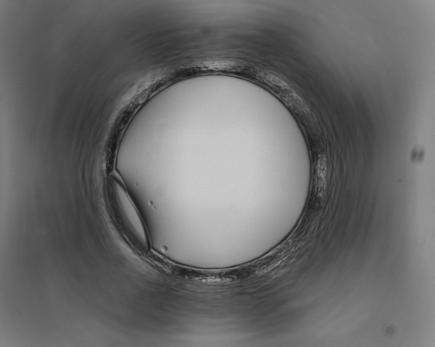 X0000094430734200712061113