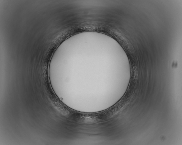 X0000094430737200712061113