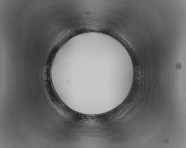 X0000094430738200712061113