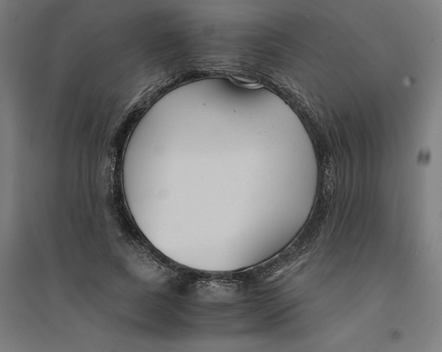 X0000094430739200712061113