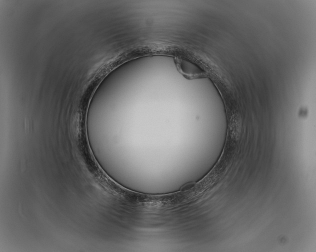 X0000094430740200712061113