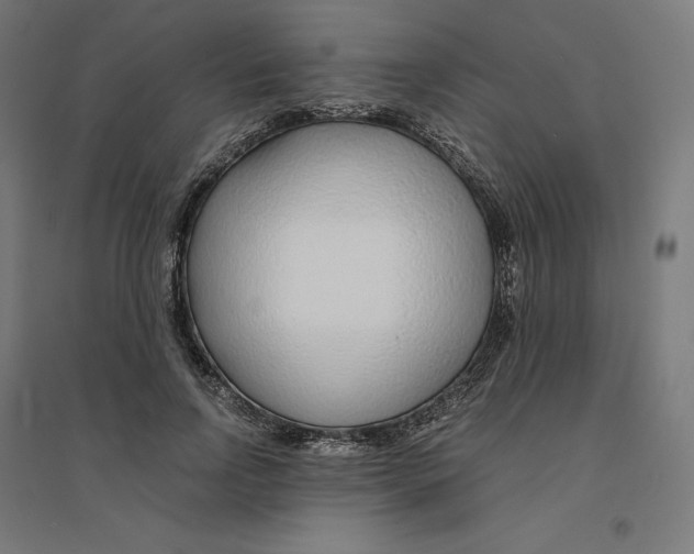 X0000094430742200712061113